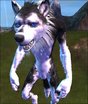  Skin Wolf Husky