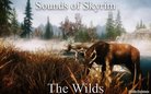  Sounds of Skyrim - Dungeons
