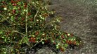  Vurts Skyrim Flora Overhaul