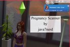  Pregnancy Mega Mod