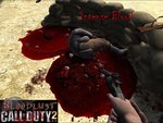 Bloodlust CoD2SP Mod (Beta 6)