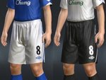 Everton 2008/2009