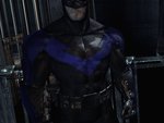 Costume Nightwing